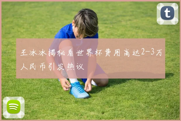 王冰冰揭秘看世界杯费用高达2-3万人民币引发热议