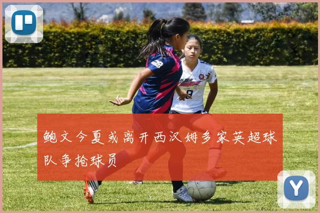 鲍文今夏或离开西汉姆多家英超球队争抢球员