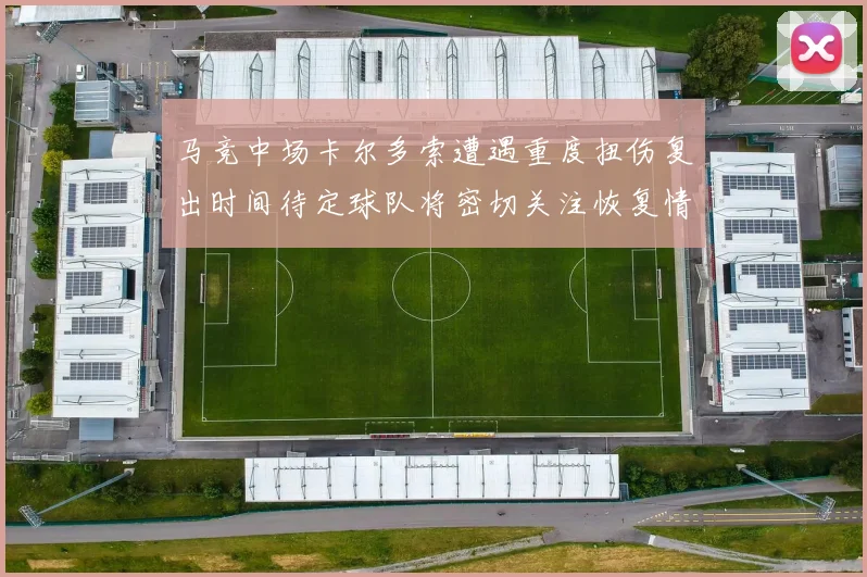 马竞中场卡尔多索遭遇重度扭伤复出时间待定球队将密切关注恢复情况